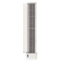 Электрическая тепловая завеса General Climate RM310E09 VERT